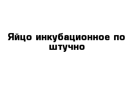 Яйцо инкубационное по штучно